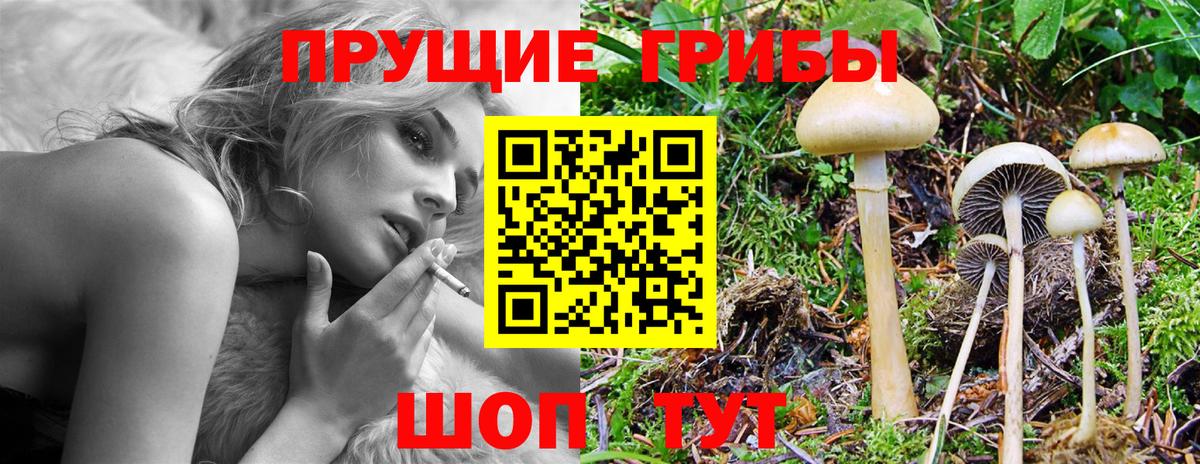 Глазов  купить наркотики цена  Вход с VPN  Псилоцибиновые грибы мицелий 